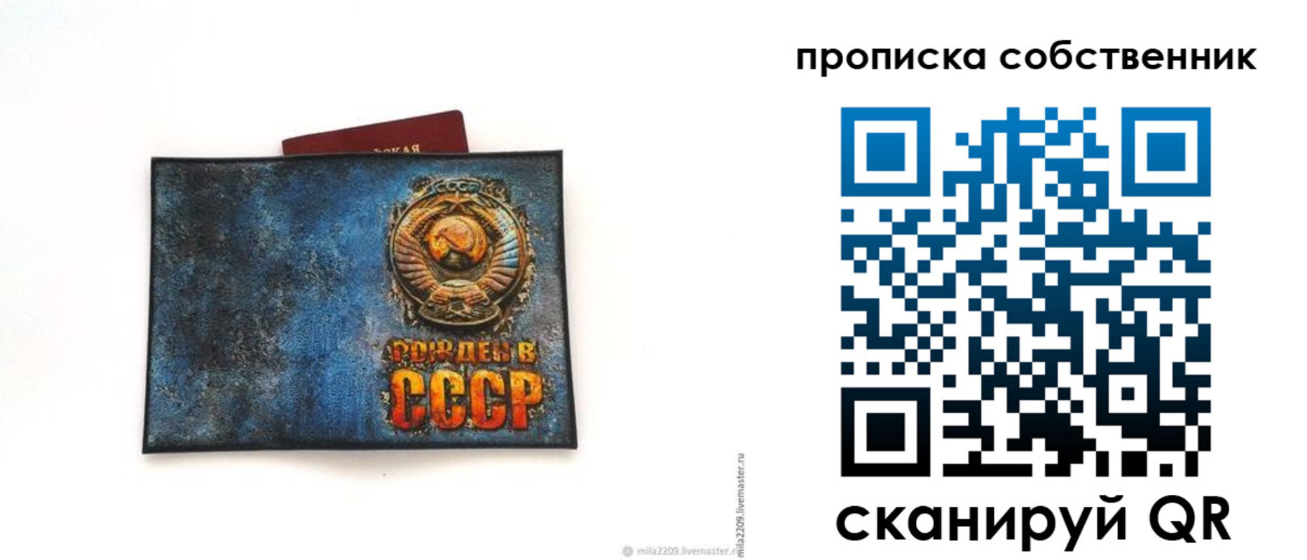 прописка для школы в Межгорье